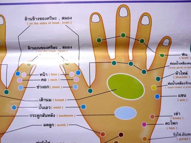 画像: 手のつぼと臓器　