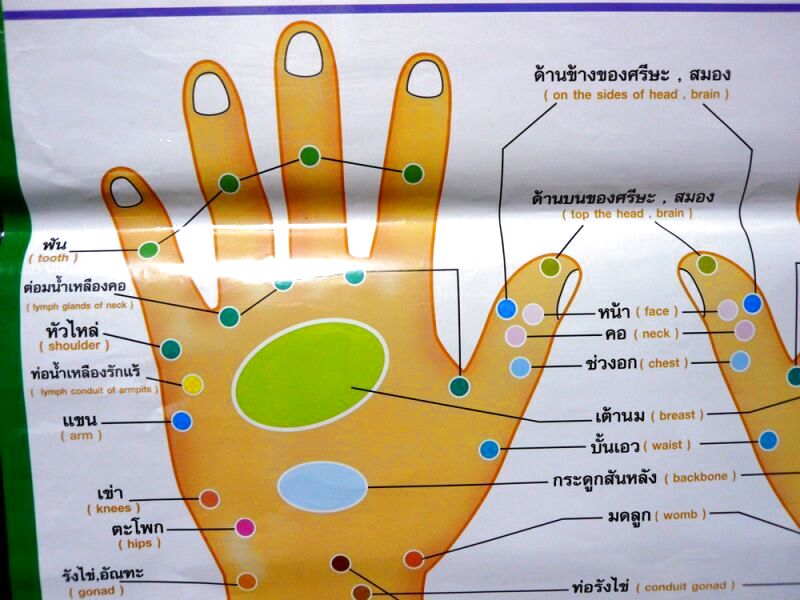 画像5: 手のつぼと臓器　
